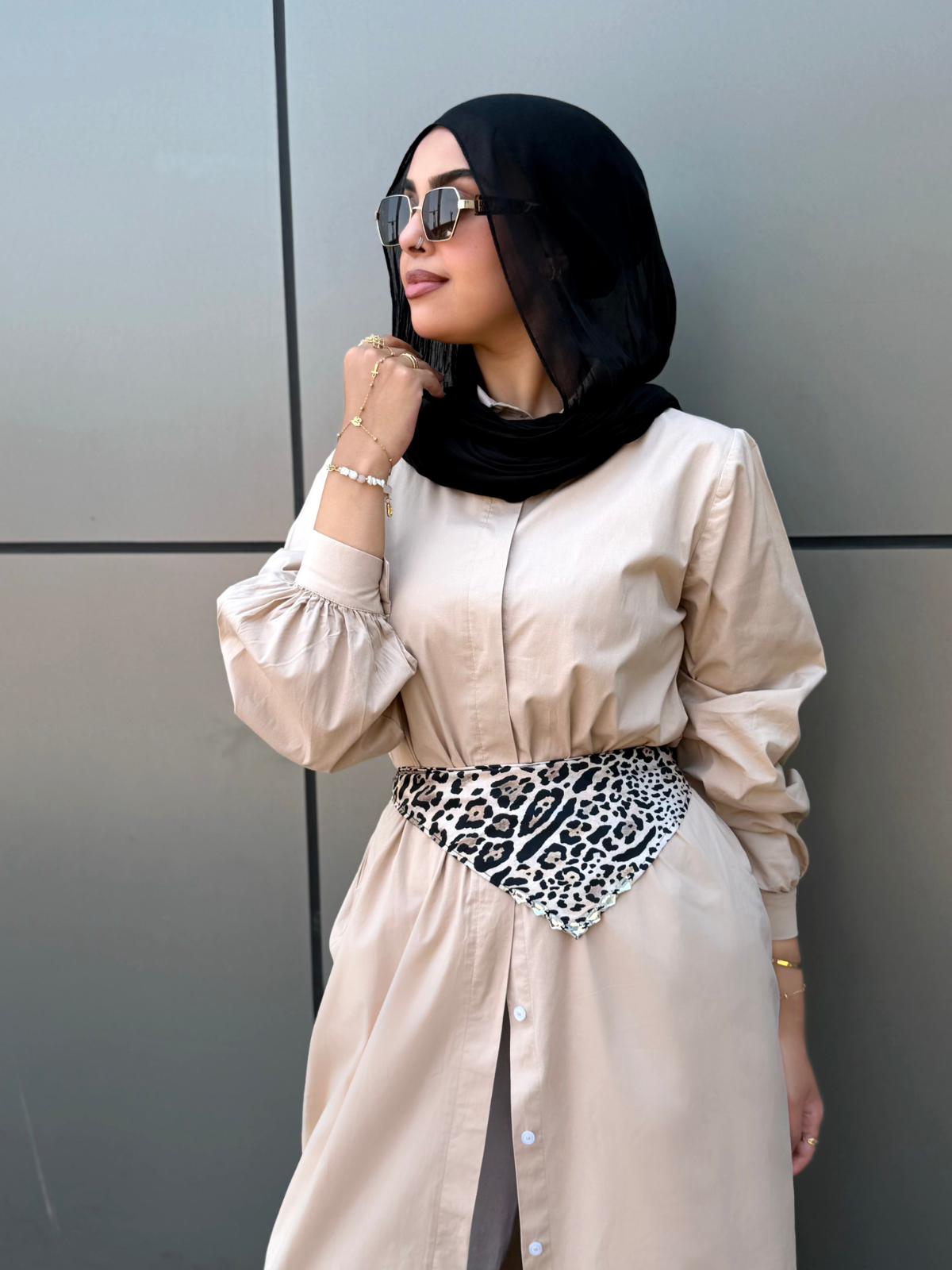 Poplin Cotton Dress (Beige)