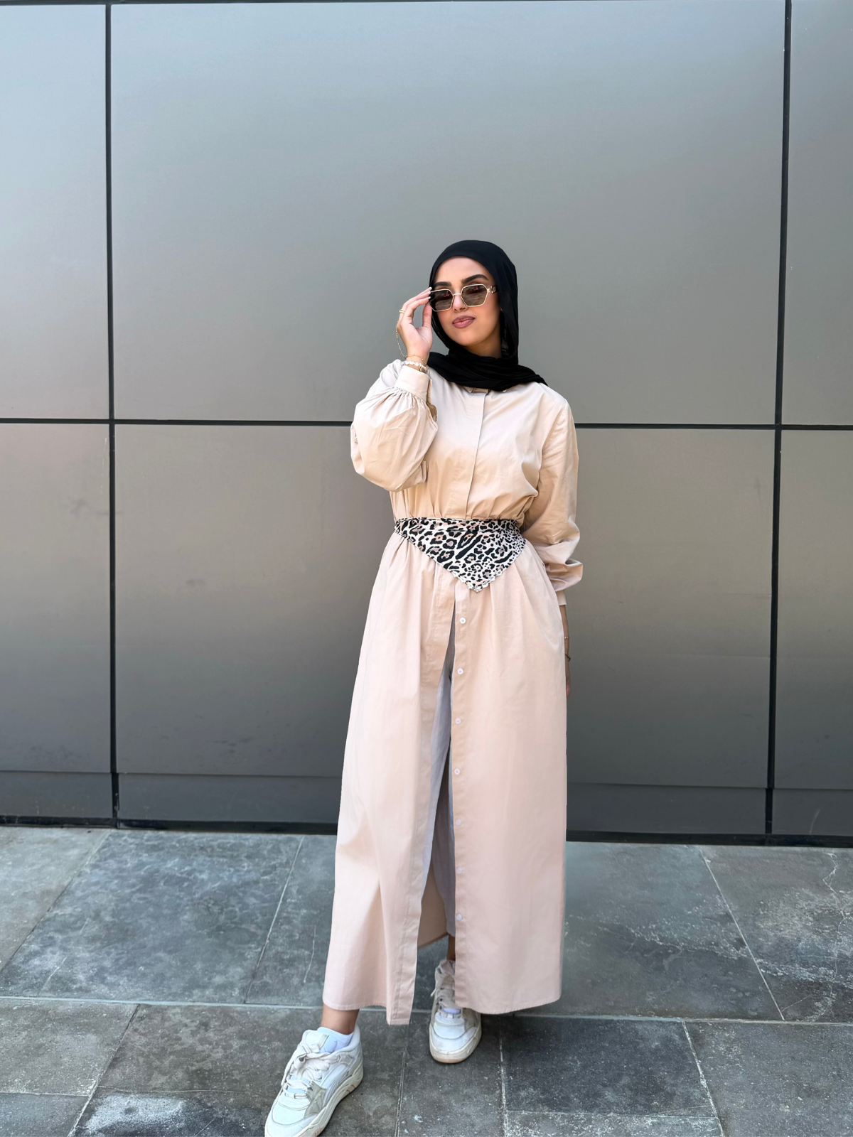 Poplin Cotton Dress (Beige)